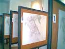 Exposición pública del PRIMM.