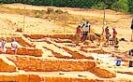 Excavaciones en el Tos Pelat.
