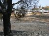 Incendio junto al barrio de Las Torres.