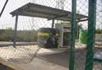 Ecoparque ilegal de Masías.