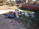 Thumbnail:_ Basura tirada al suelo.