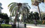 Jardín.