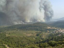 Incedndio forestal.