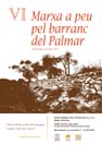 Marxa a peu pel barranc del Palmar.