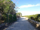 Camino rural.