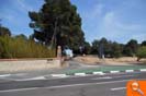 Camino de Camarena.
