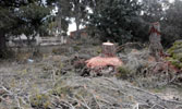 Maleza y basura alrededor de los depósitos del agua de Masías.