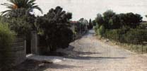 Calle de Masías.