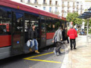 Autobús urbano.