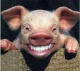 Cara de cerdo-hombre.