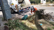 Retirada de restos de poda.