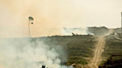 Deforestación para plantaciones de palma /Rainforest.