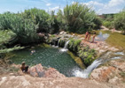 La zona del Pont Sec en el barranco del Carraixet.