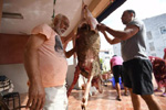 Sacrificio de un cordero.