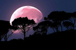 Luna de fresa.