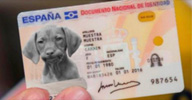 DNI de un chucho.