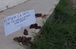 Cacas de perro en aceras de Masías.