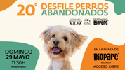 El desfile para adoptar perros vuelve a Bioparc.