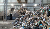 World Cleanup Day.